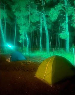 Olympos Doğa Camping