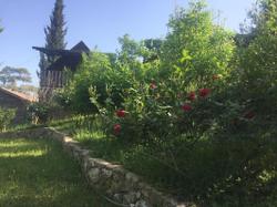 Olympos Otantik Pansiyon
