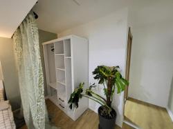 Alex Suites Lara