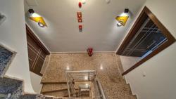 Let'stay Sweet Home Yellow