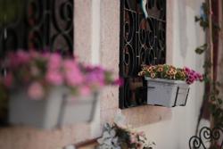 Ayvalık Palacitta Guesthouse