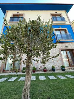 Şirin Garden Ayvalik
