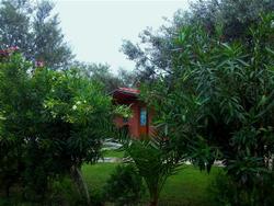 Kervan Tatil Köyü