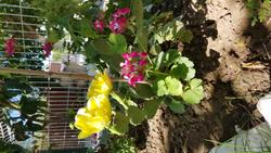 Zeytin Otel