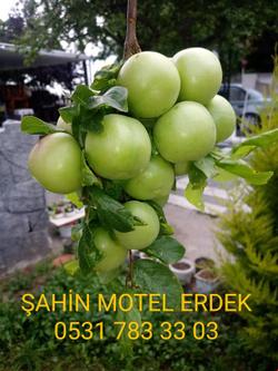 Erdek Şahin Motel