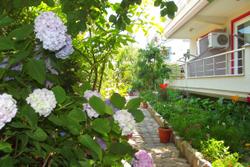 Bedia Otel
