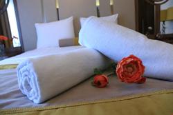 Burçman Hotel Vişne