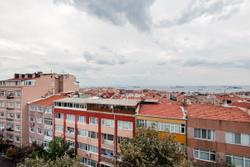 Rosehip | Fatih