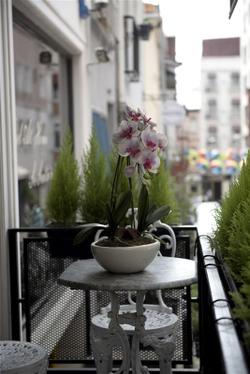 B Guest Hotel