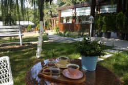 Evergreen Boutique