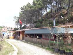 Sb Kamp Sile