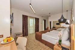 Hotel Boursier 1 & SPA