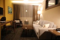 Diasos Otel Buca