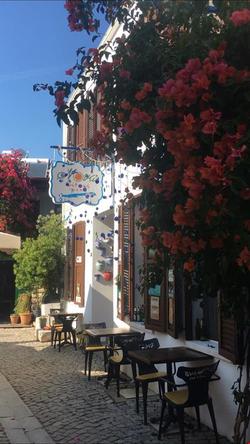 Nova Citrus Otel