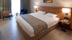 Mirel Hotel