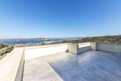 Raisin | Bodrum