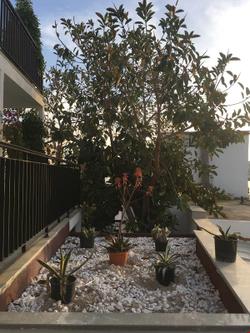 By Muhtar Bodrum