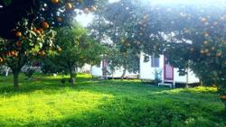 Ecofarm Camp & Bungalow