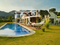 Villa Cat