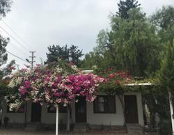 Berke Cafe - Pansiyon