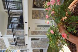 Datça Zeytin Evleri