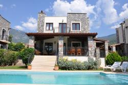 Olive Villa B