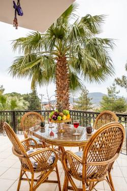 Villa Artemisia 3