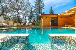 Villa Pineyards