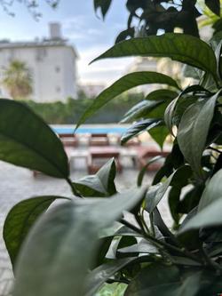 Enjoy Hotel
