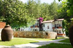 Karadaki Ada
