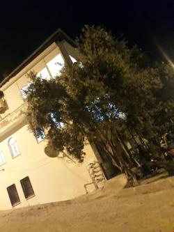 City Center Home