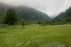 Çamdibi Konaklama