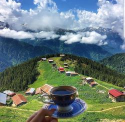Pokut Inn Doga Evi