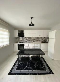 Sapanca Alâ House