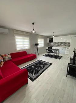 Sapanca Alâ House