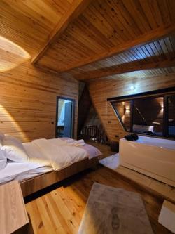 Sapanca Astr Bungalov