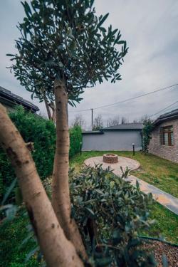 Sapanca Neph Villa