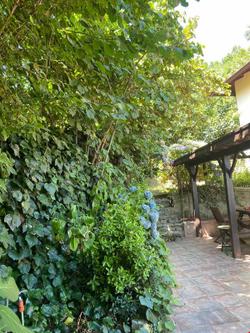 Villa Grande Albero Sapanca