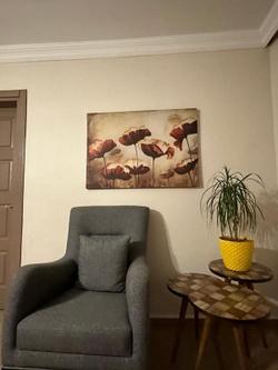 Sapanca House Ev