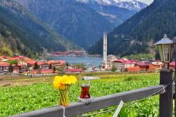 Grand Öztürk Uzungöl