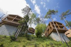 Hancıoğlu Çamburnu Orman Evleri Bungalow & Hotel