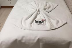 Tulipa Suites