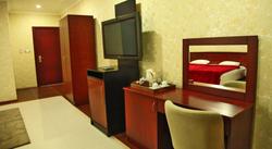 Mars Business Hotel