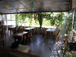 Rose Pension