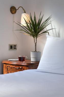 Noble House Galata