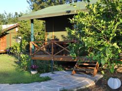 Hobbit Evi