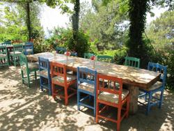 Faralya Botanica