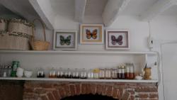 Eolos House Cunda