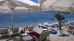 Nese Pension