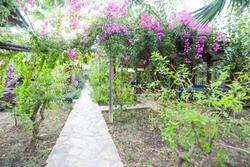 Bizim Cennet Bungalows
